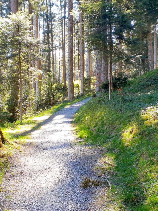 E-Bike Tour «Süffig»